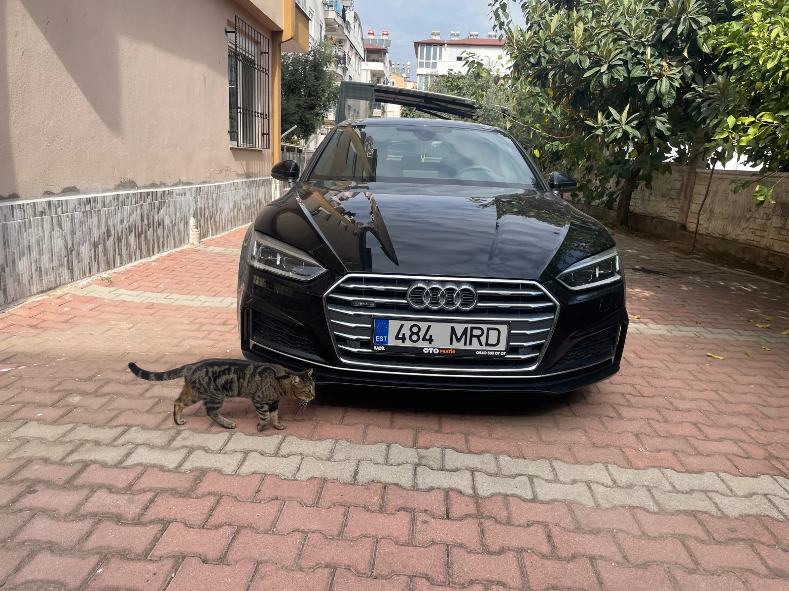 Audi A5 | Mobile.bg � ����������� 12