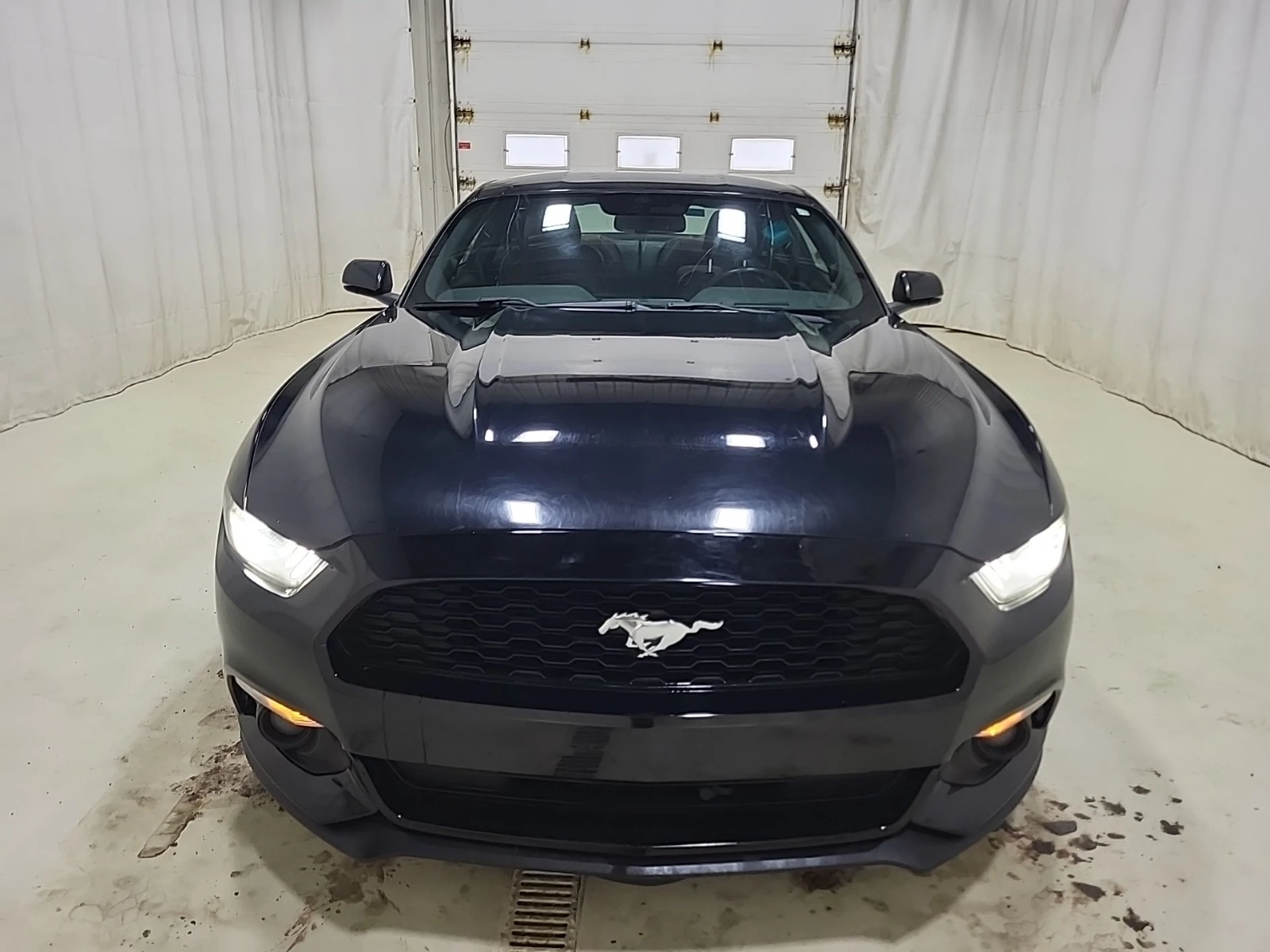 Ford Mustang ECOBOOST * * CARFAX * * АВТО КРЕДИТ * *  - изображение 2