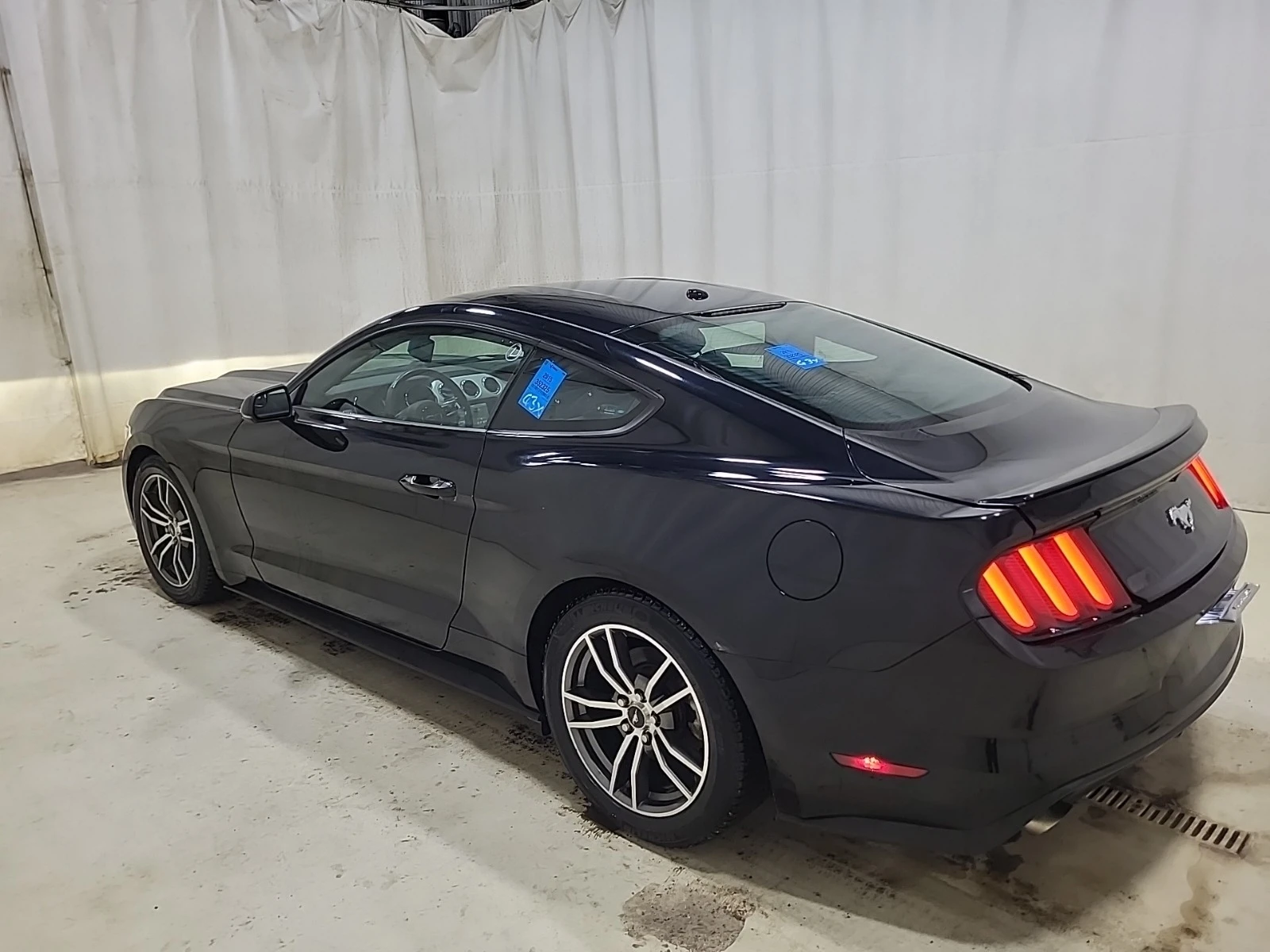 Ford Mustang ECOBOOST * * CARFAX * * АВТО КРЕДИТ * *  - изображение 6