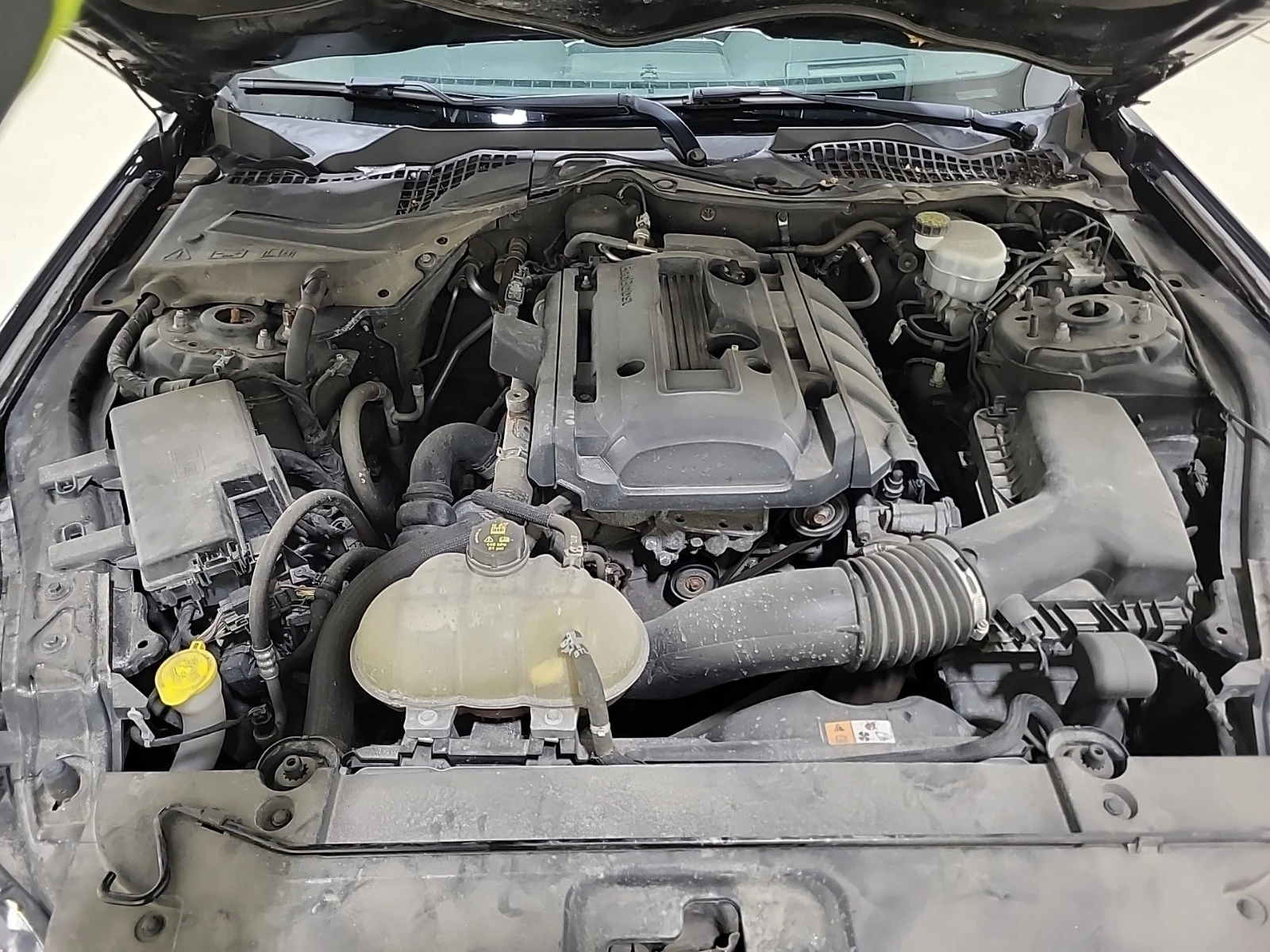 Ford Mustang ECOBOOST * * CARFAX * * ���� ������ * *  | Mobile.bg � ����������� 14
