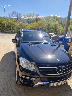 Mercedes-Benz ML 250, снимка 6
