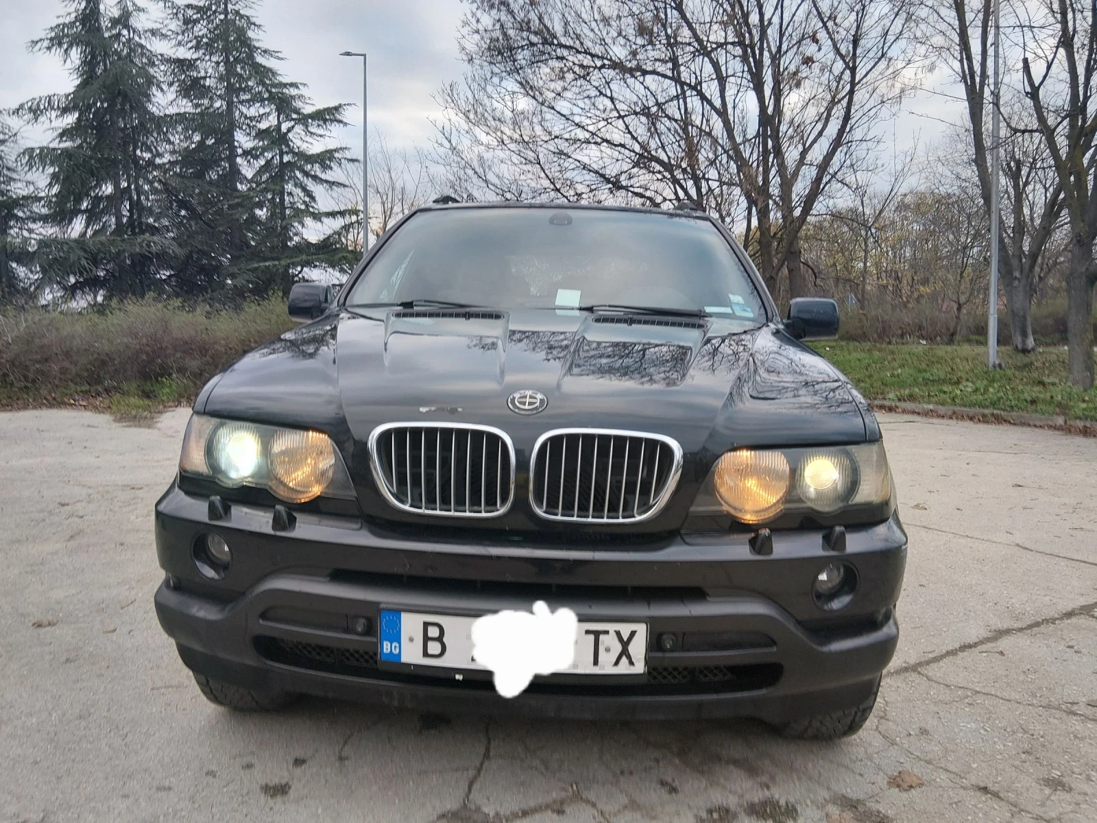 BMW X5 E53 3.0d 184hp sport pajet , снимка 1