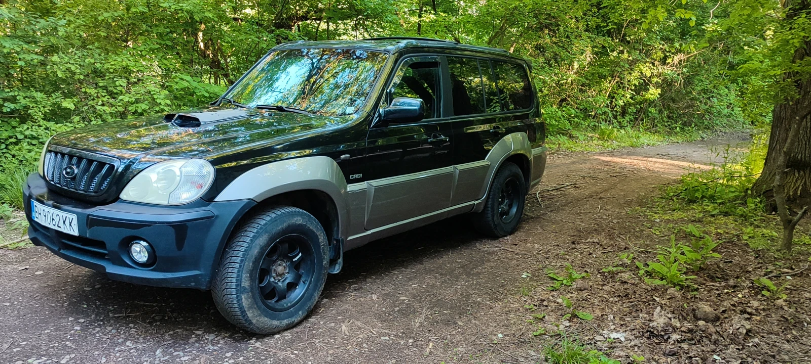 Hyundai Terracan, снимка 2 - Автомобили и джипове - 55075136