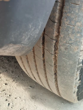 Scania 124 ����� �� ������� | Mobile.bg � ����� ������ 10