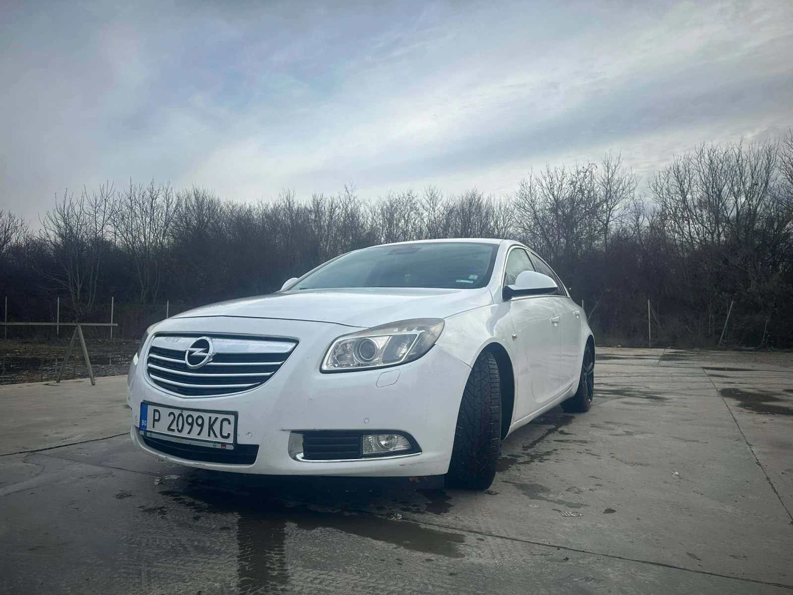 Opel Insignia 2.0, снимка 2 - Автомобили и джипове - 54248302