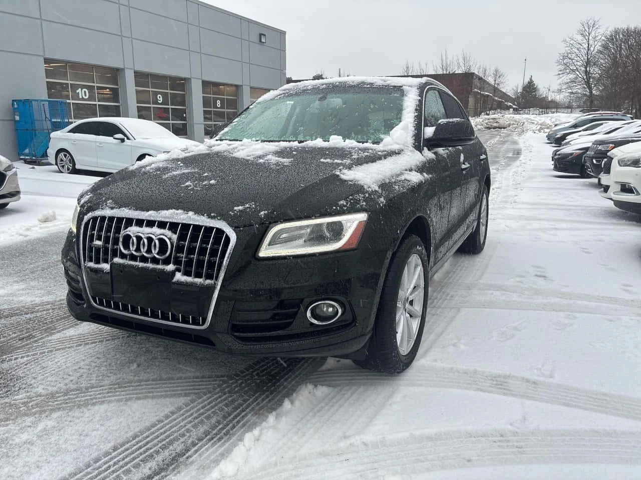 Audi Q5 * 2.0T Technik * CARFAX * �������* ��������*  | Mobile.bg � ����������� 1