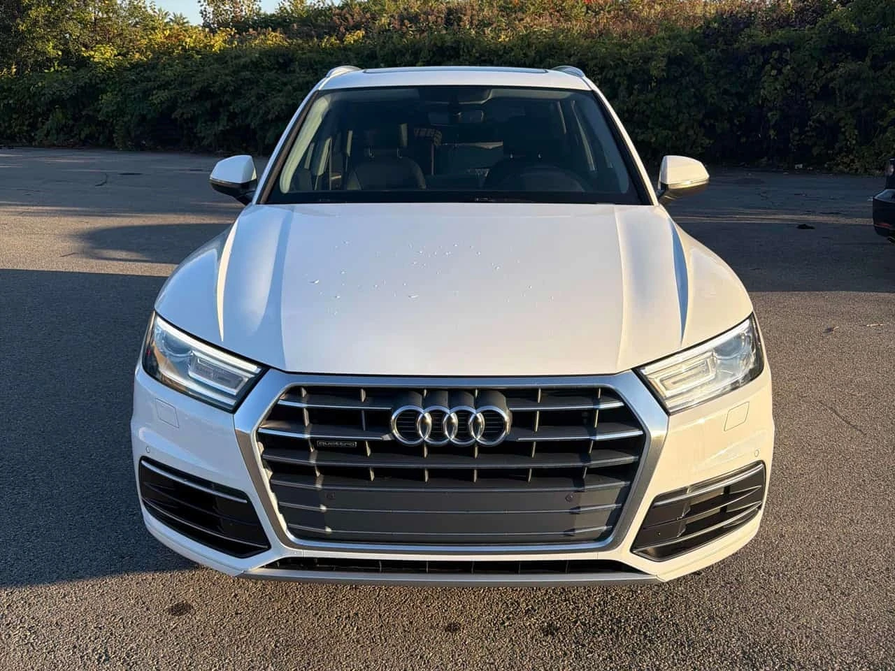 Audi Q5 * Progressiv * CARFAX * ����� �� ����������� *  | Mobile.bg � ����������� 6