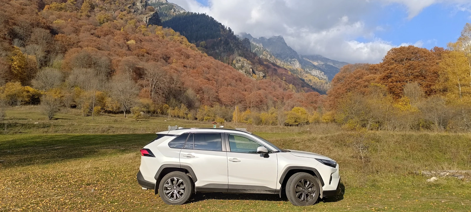 Toyota Rav4 2.5 Hybrid AWD-i Luxury | Mobile.bg � ����������� 15