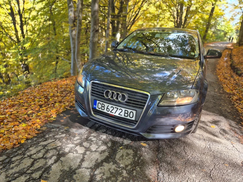 Audi A3 2.0TDI 143к.с comanreal  - 13500 лв. / 6902.44 € - 59148270 1