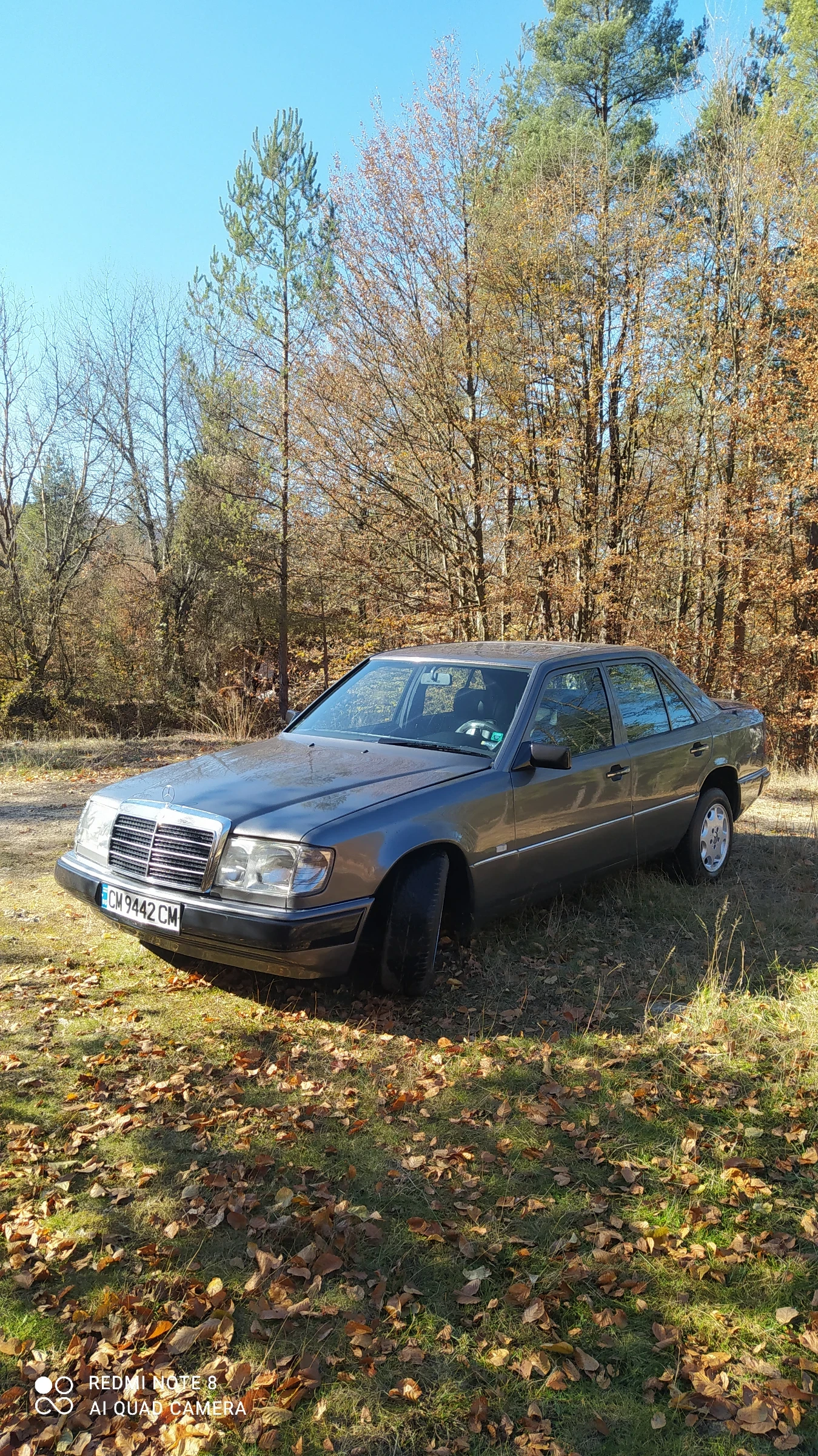 Mercedes-Benz 124 200Е Газ-Бензин - изображение 3