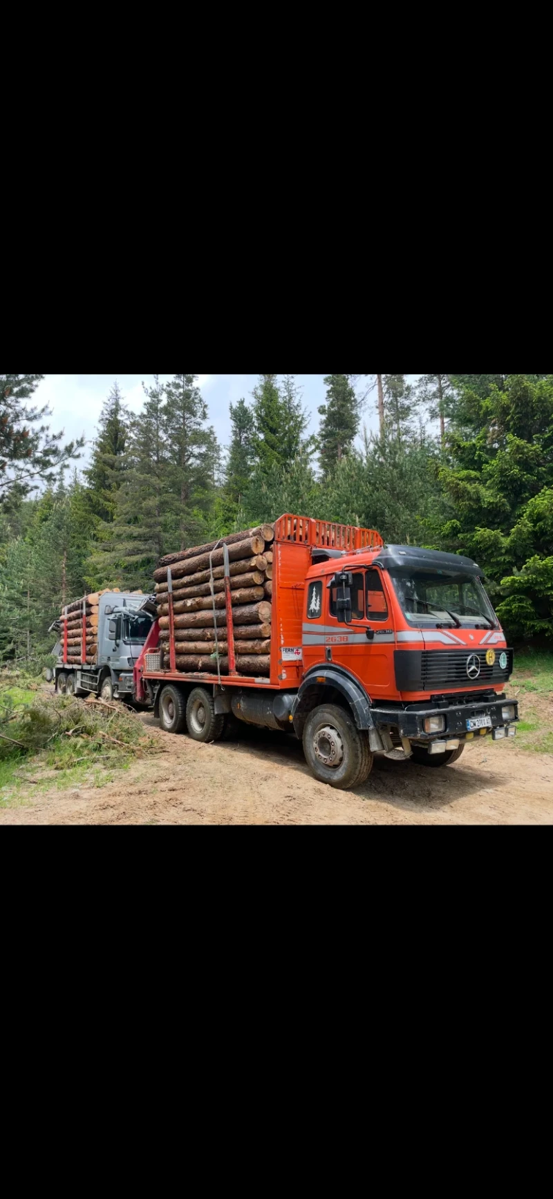 Mercedes-Benz 2638, снимка 2 - Камиони - 48852651