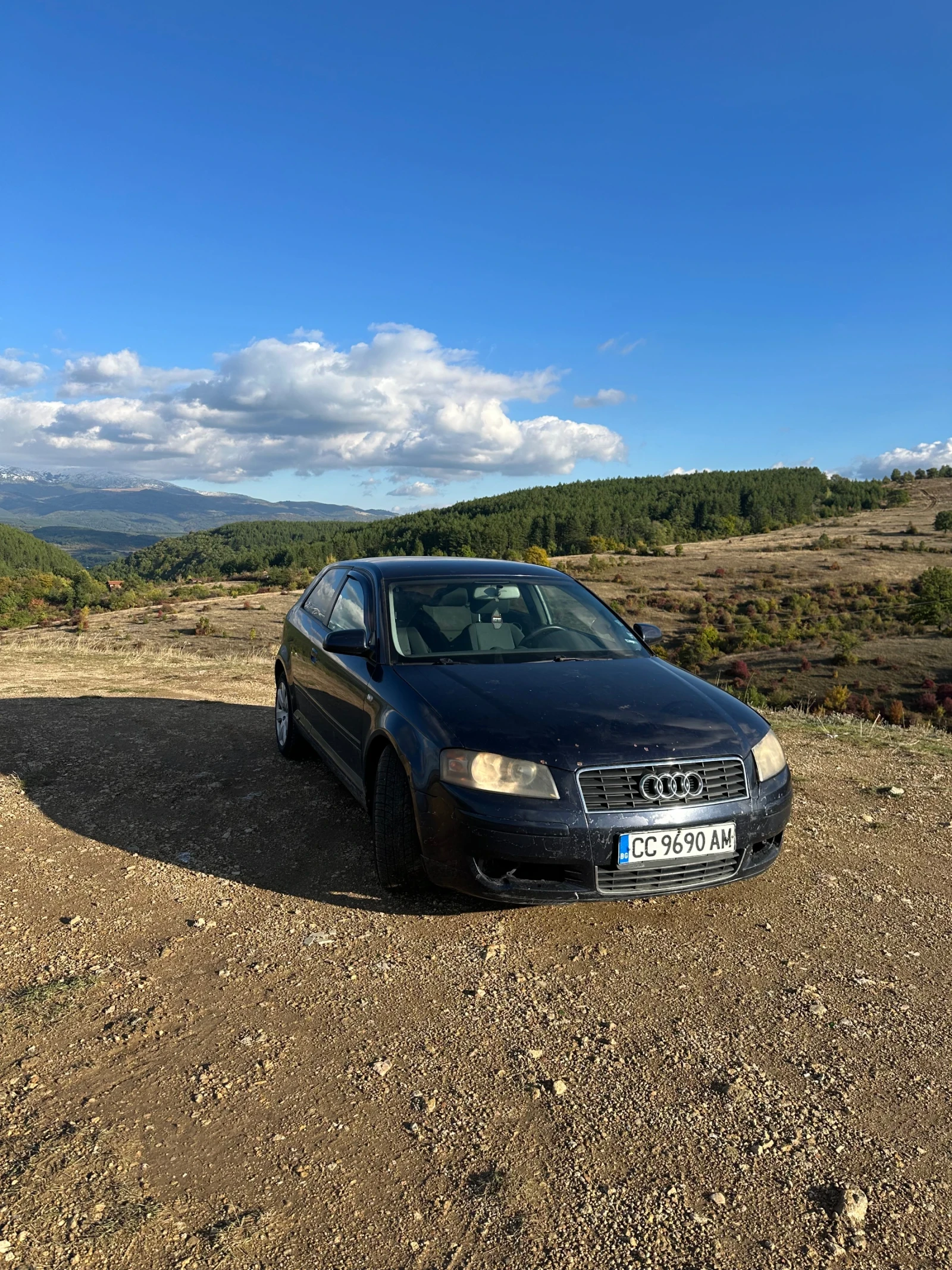 Audi A3  - изображение 6
