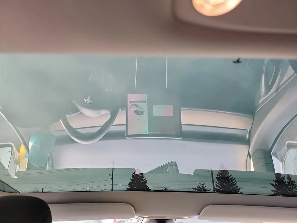 Tesla Model 3 * STANDARD RANGE PLUS * CARFAX * ���� �� �� | Mobile.bg � ����������� 14