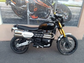  Triumph Scrambler