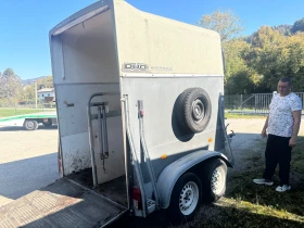 �� ��������� B?kcmann | Mobile.bg � ����� ������ 8