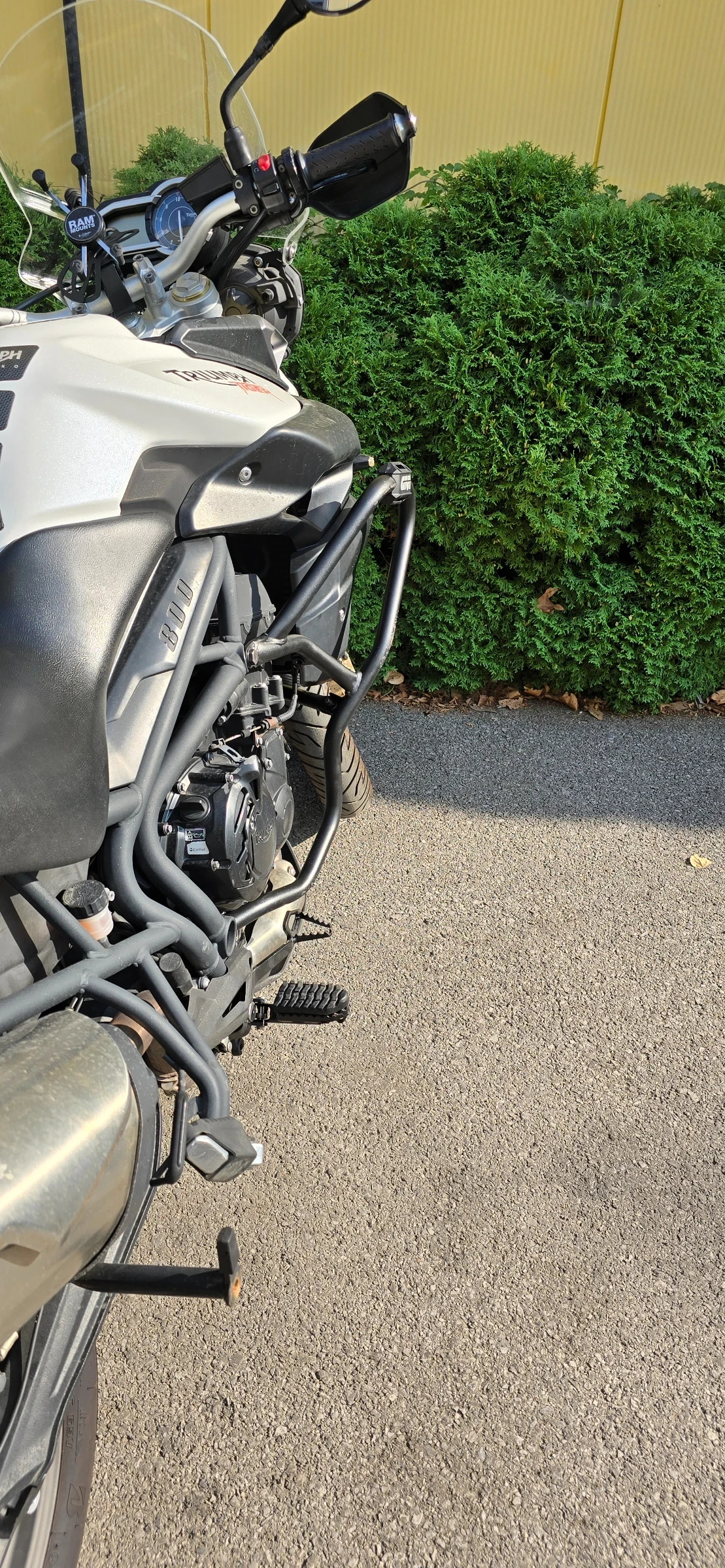 Triumph Tiger  - изображение 9