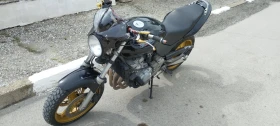  Honda Hornet