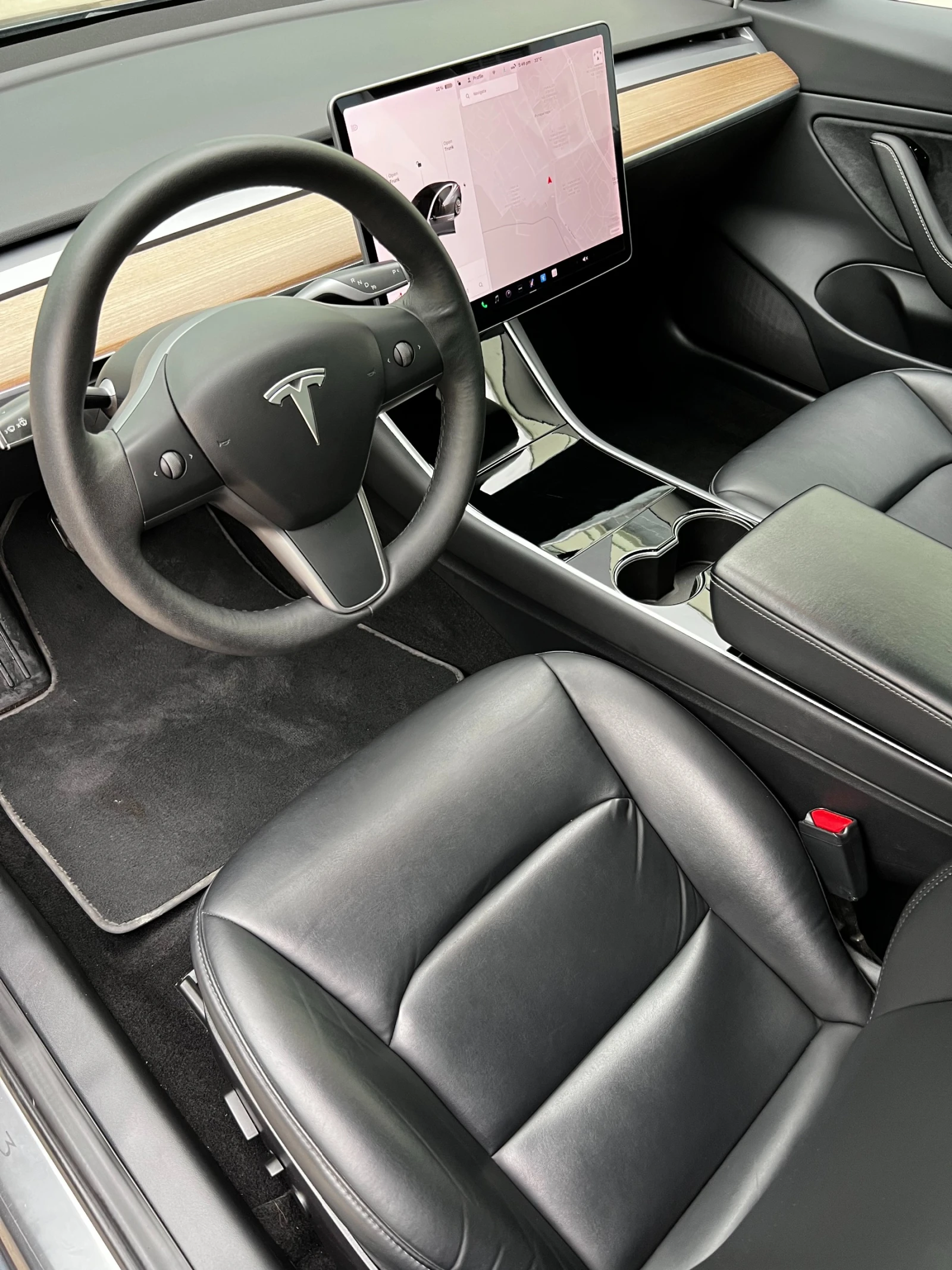 Tesla Model 3 Long Range Dual AWD - изображение 10
