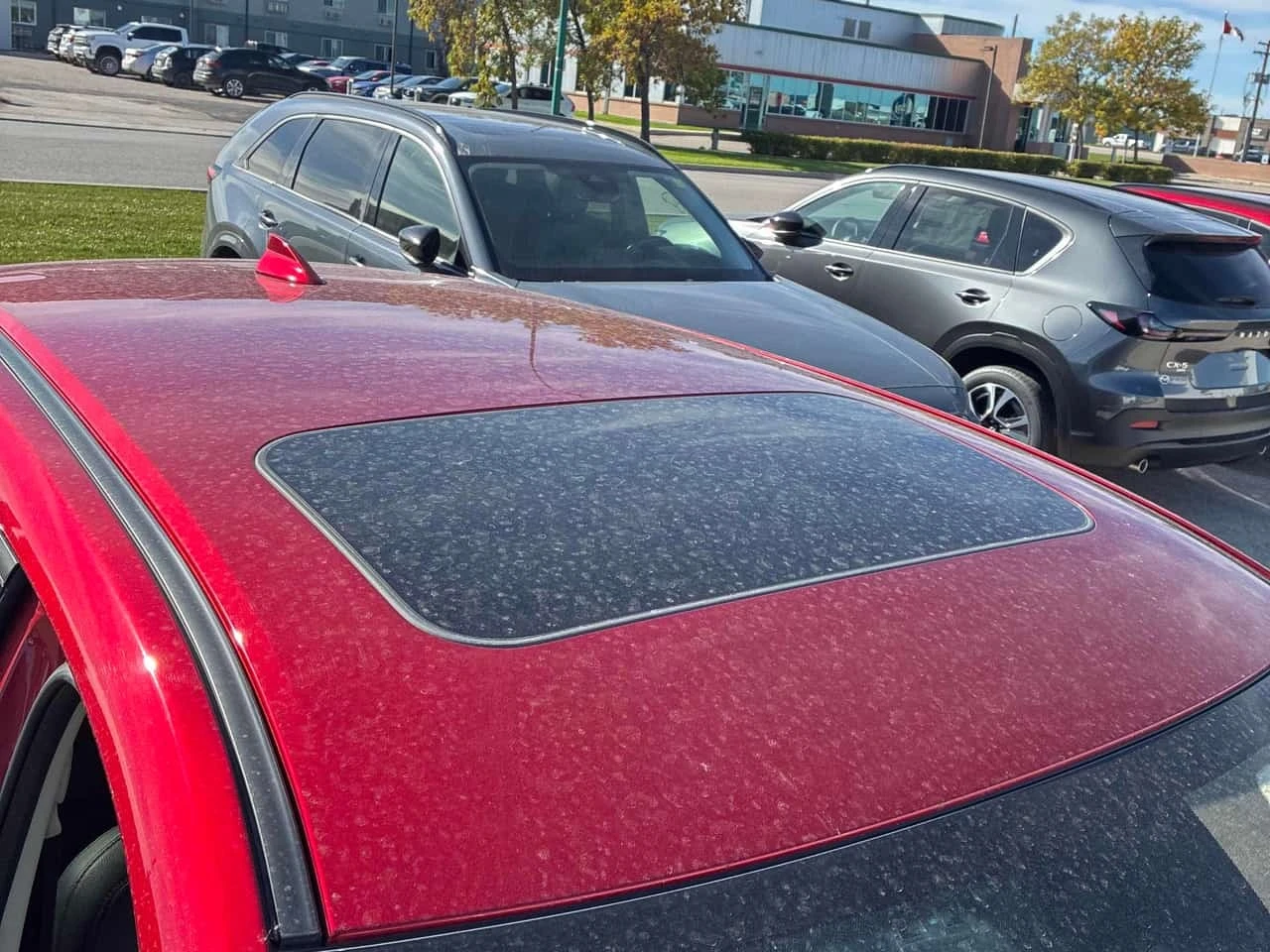 Mazda CX-5 * GT* CARFAX * ������� * ��������� ��������������� | Mobile.bg � ����������� 6