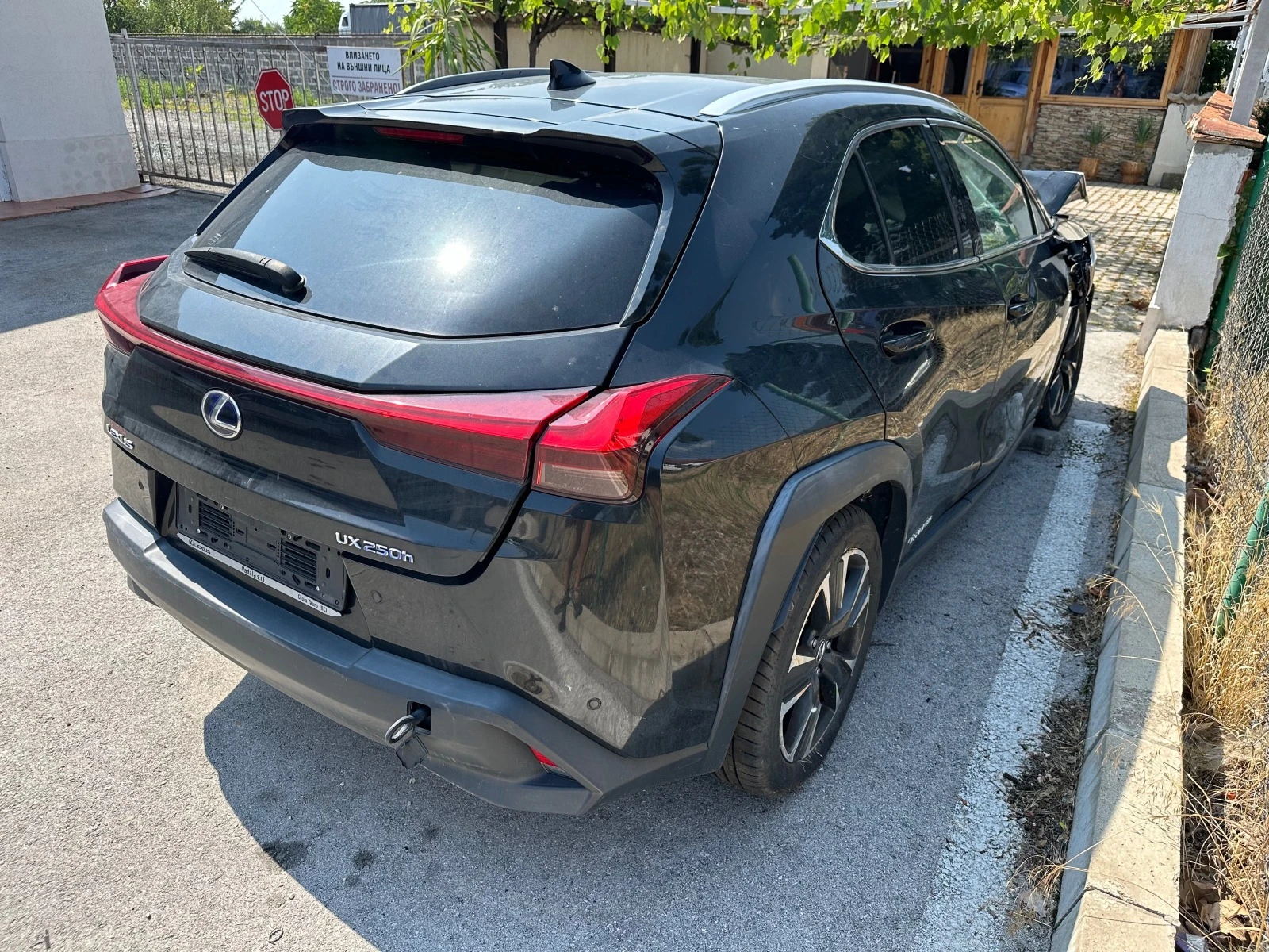 Lexus UX 250h  - изображение 4