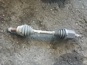 ������ ������ ���� ��������
