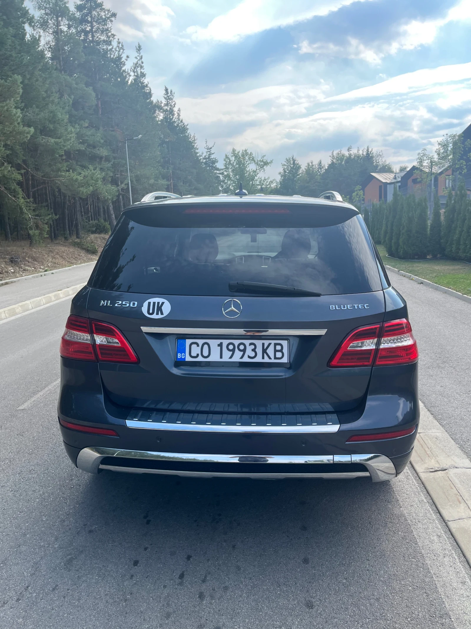 Mercedes-Benz ML 250 Bluetec Amg Pack - изображение 2