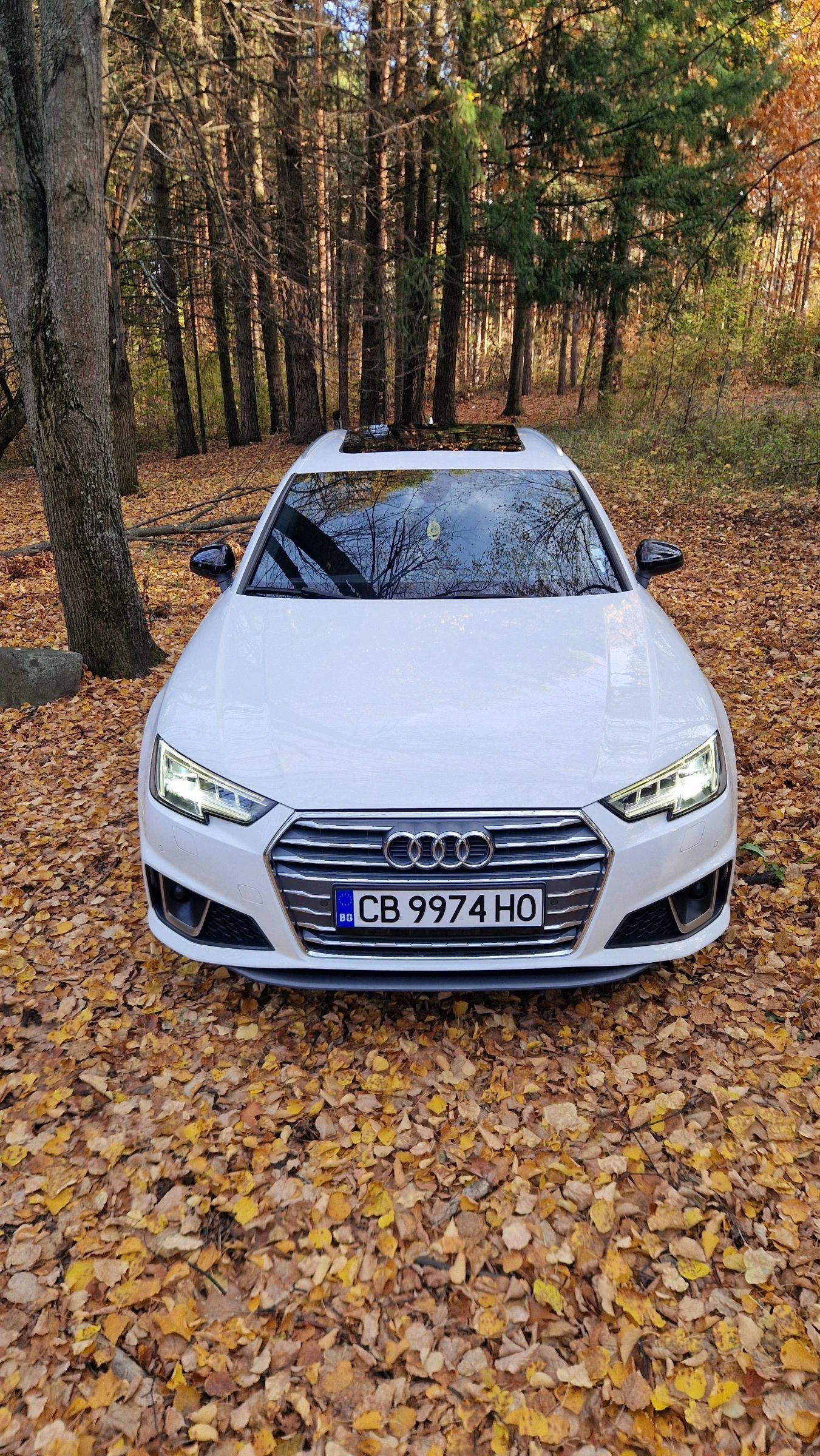 Audi A4 2.0TDI 190 S-line Matrix Facelift  - изображение 8
