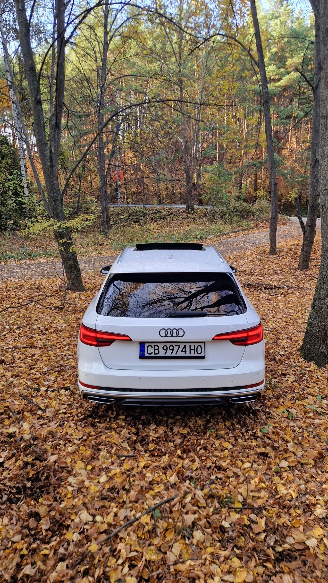 Audi A4 2.0TDI 190 S-line Matrix Facelift  - изображение 4