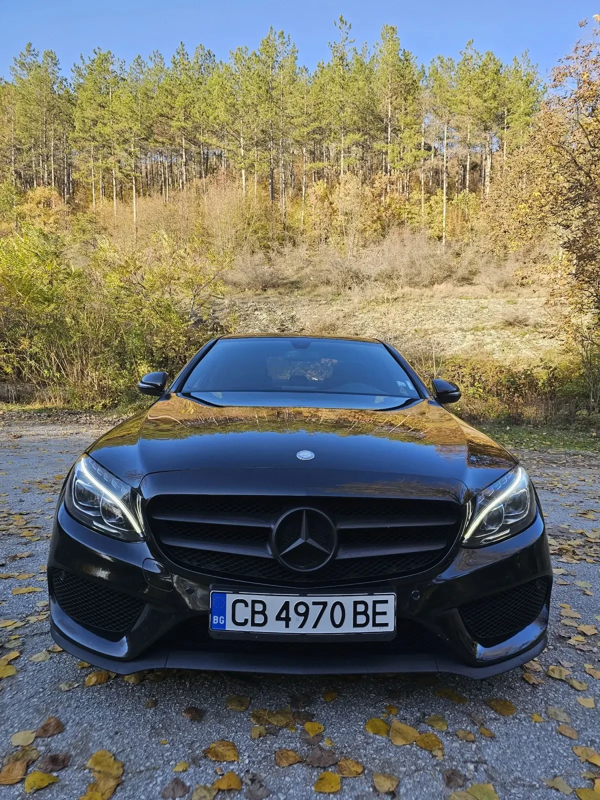 Mercedes-Benz C 220  - изображение 6