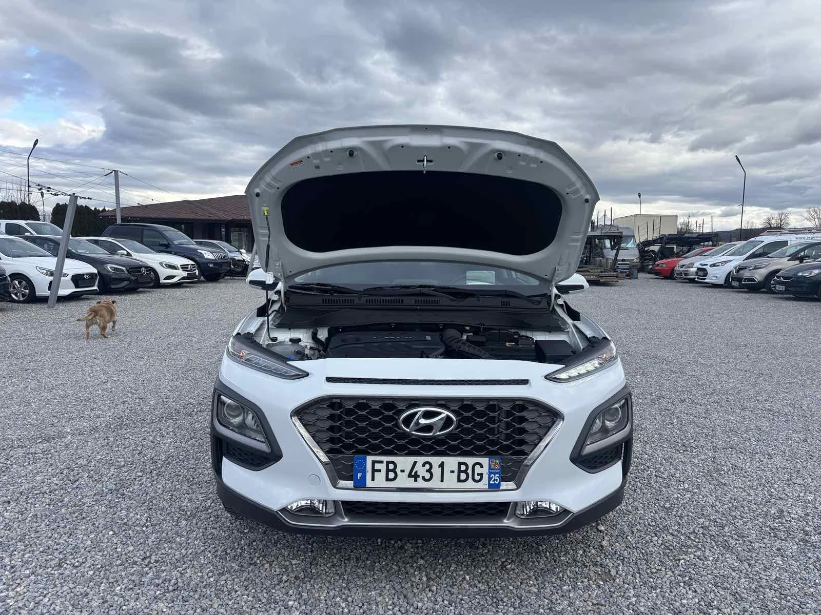 Hyundai Kona 1.6 , Euro 6, ��� ���� | Mobile.bg � ����������� 17