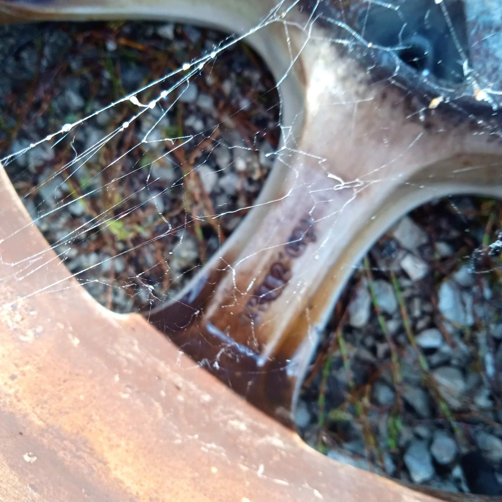   VW Passat | Mobile.bg   8