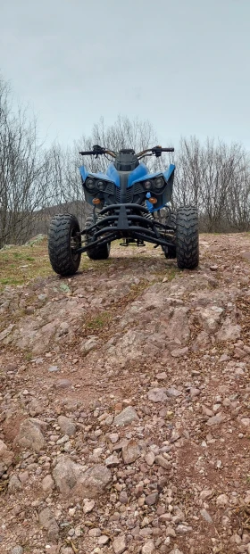 Bashan BS | Mobile.bg    9