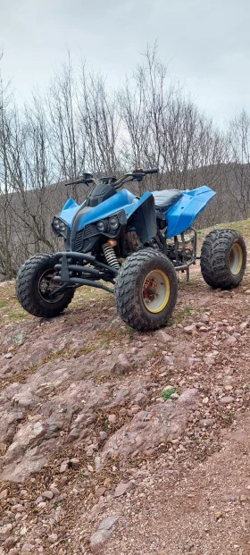 Bashan BS | Mobile.bg    8