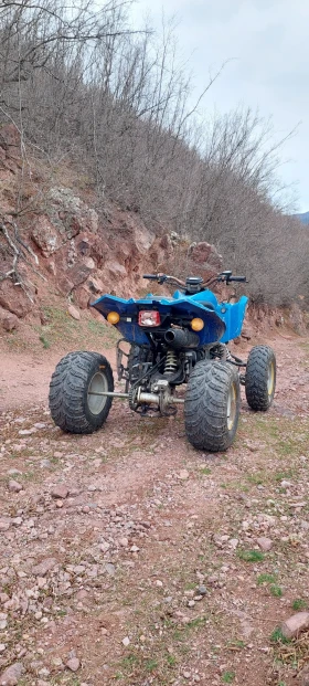 Bashan BS | Mobile.bg    10