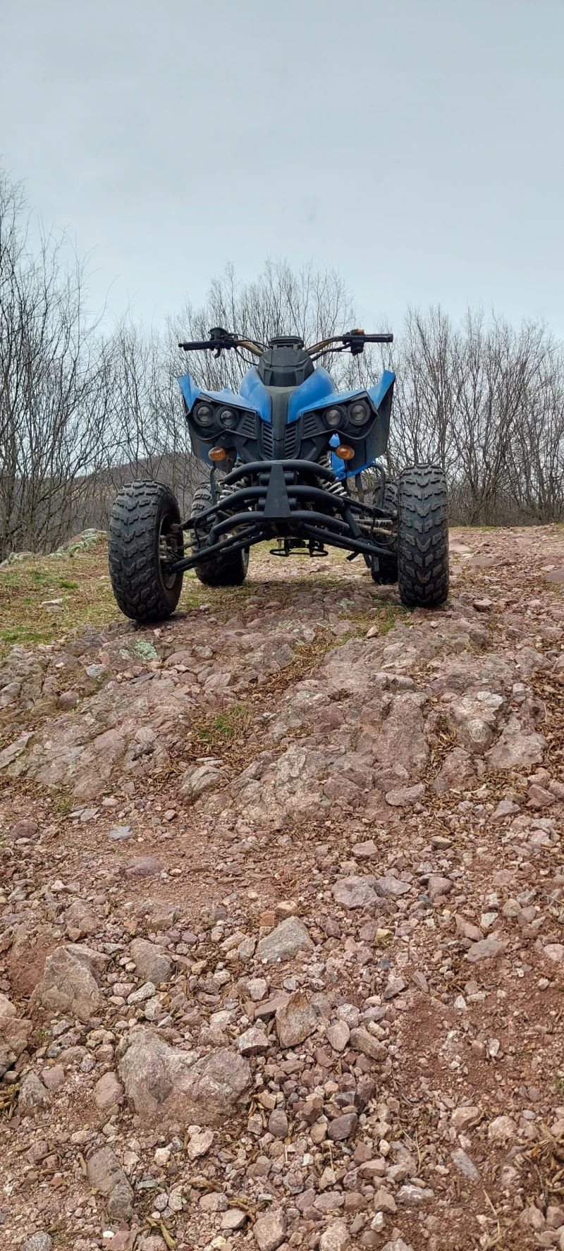 Bashan BS, снимка 9 - Мотоциклети и мототехника - 52215859