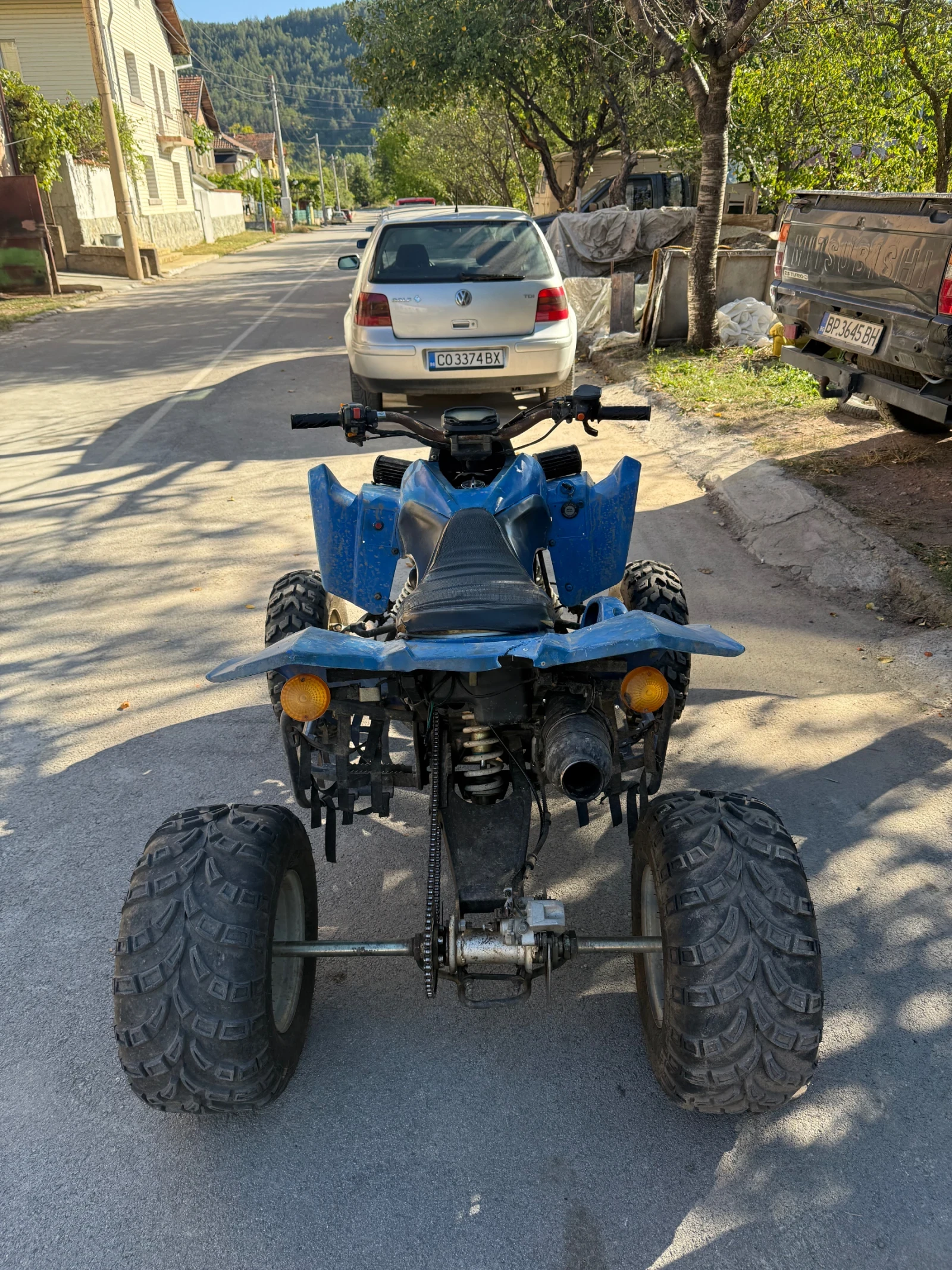 Bashan BS  - изображение 2