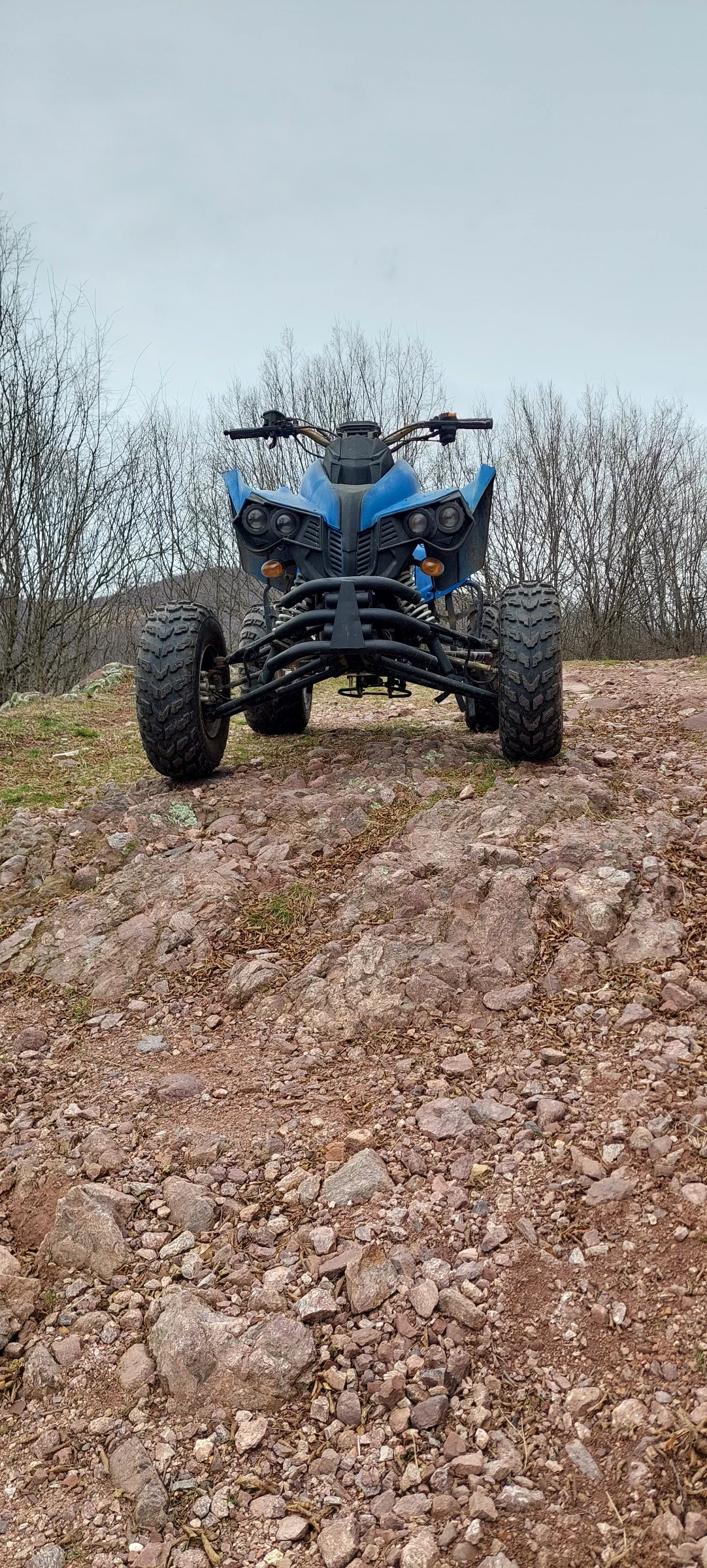 Bashan BS  - изображение 9