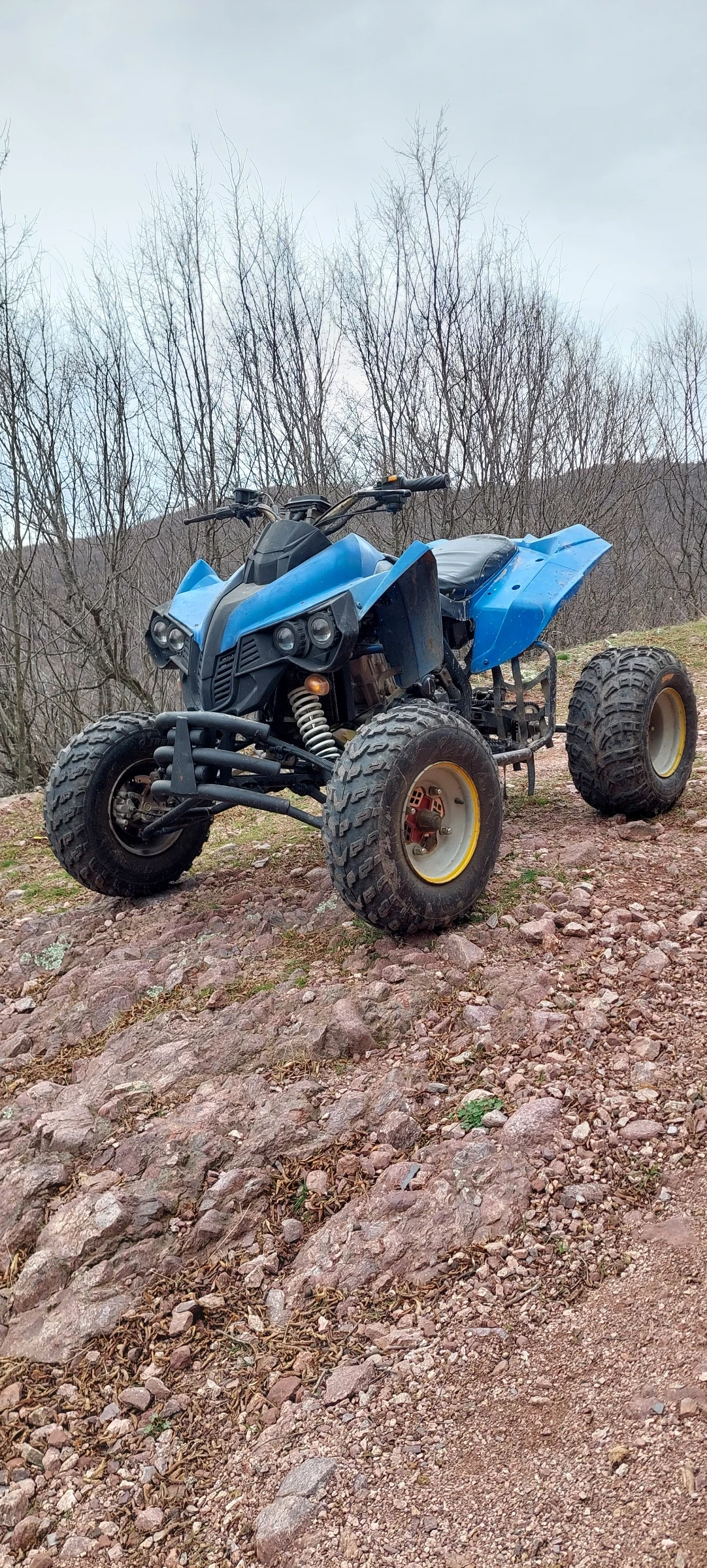 Bashan BS  - изображение 8