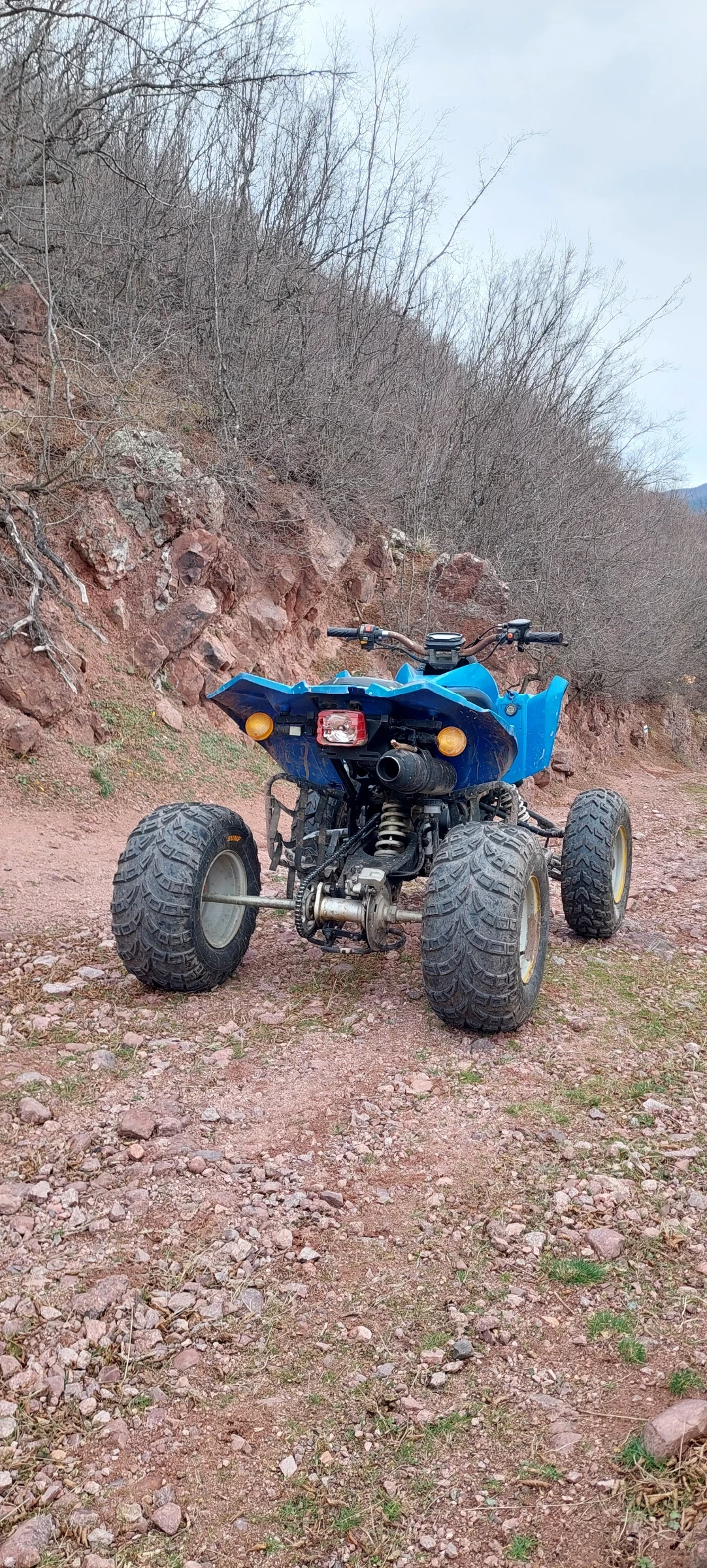 Bashan BS  - изображение 10