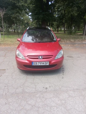  Peugeot 307