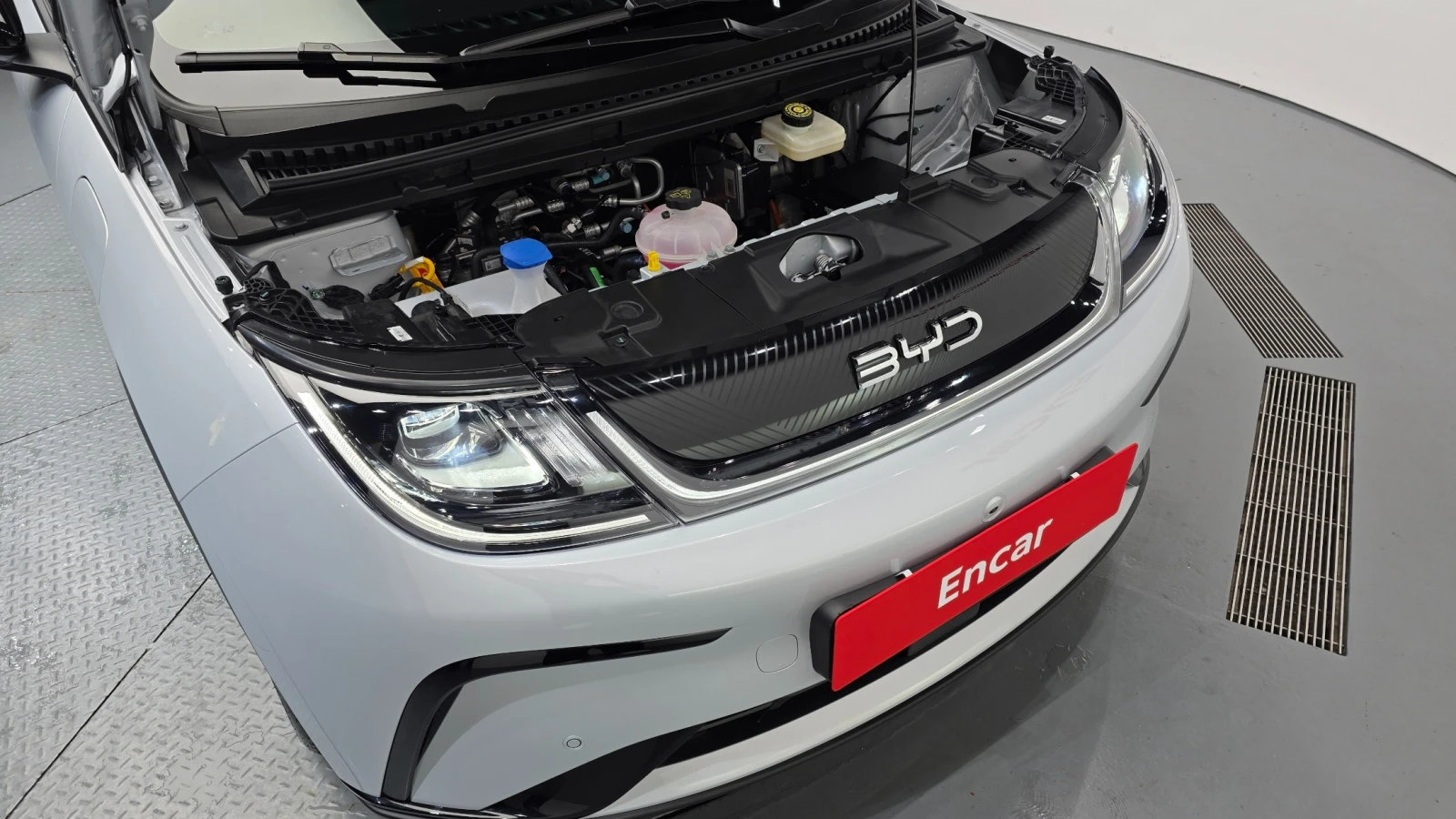 BYD Dolphin Base , снимка 5 - Автомобили и джипове - 55596922