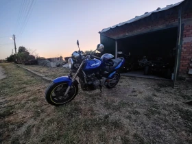 Honda Hornet