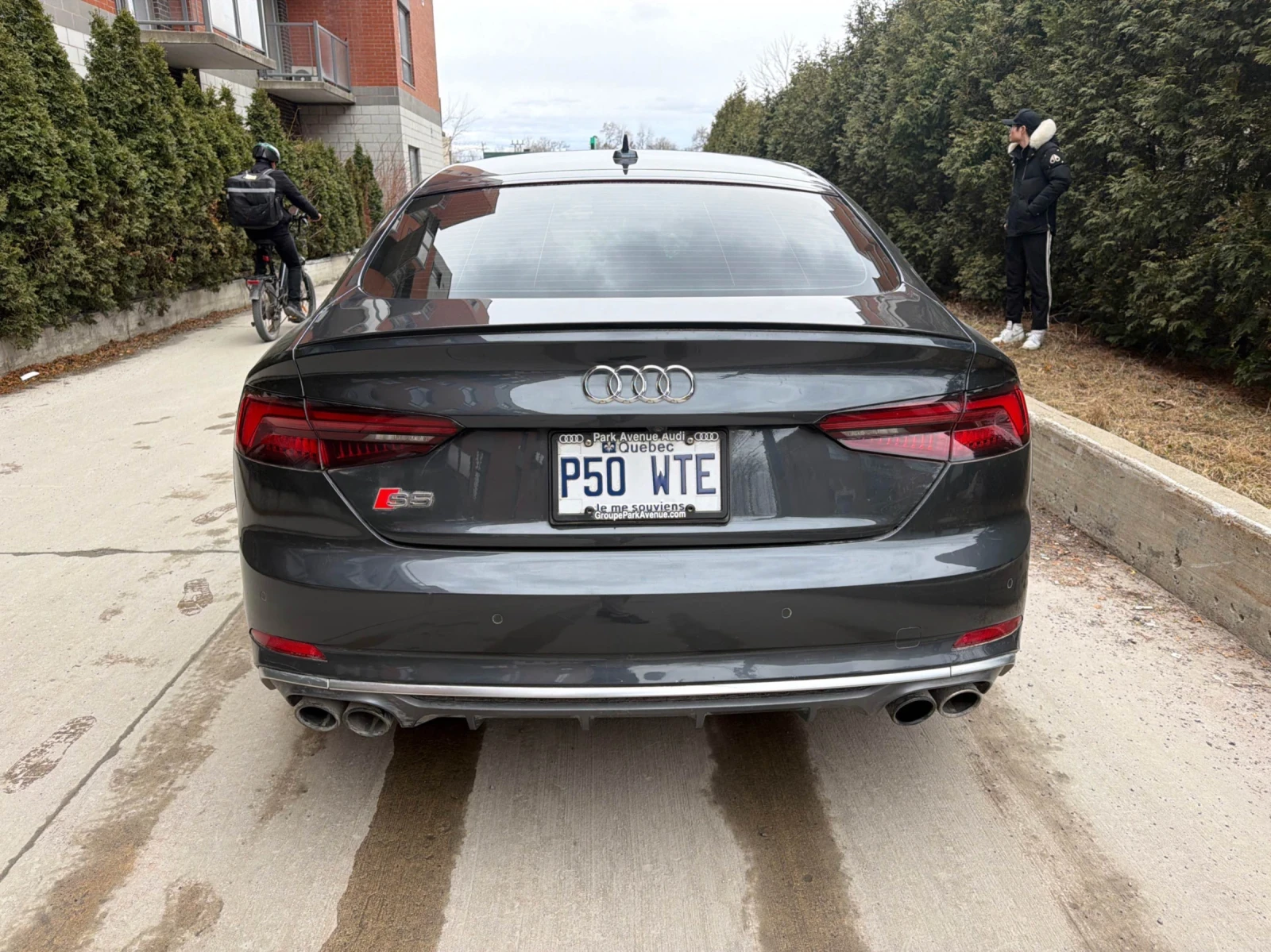 Audi S5 PROGRESSIV * CAR FAX * ���� ������ | Mobile.bg � ����������� 2