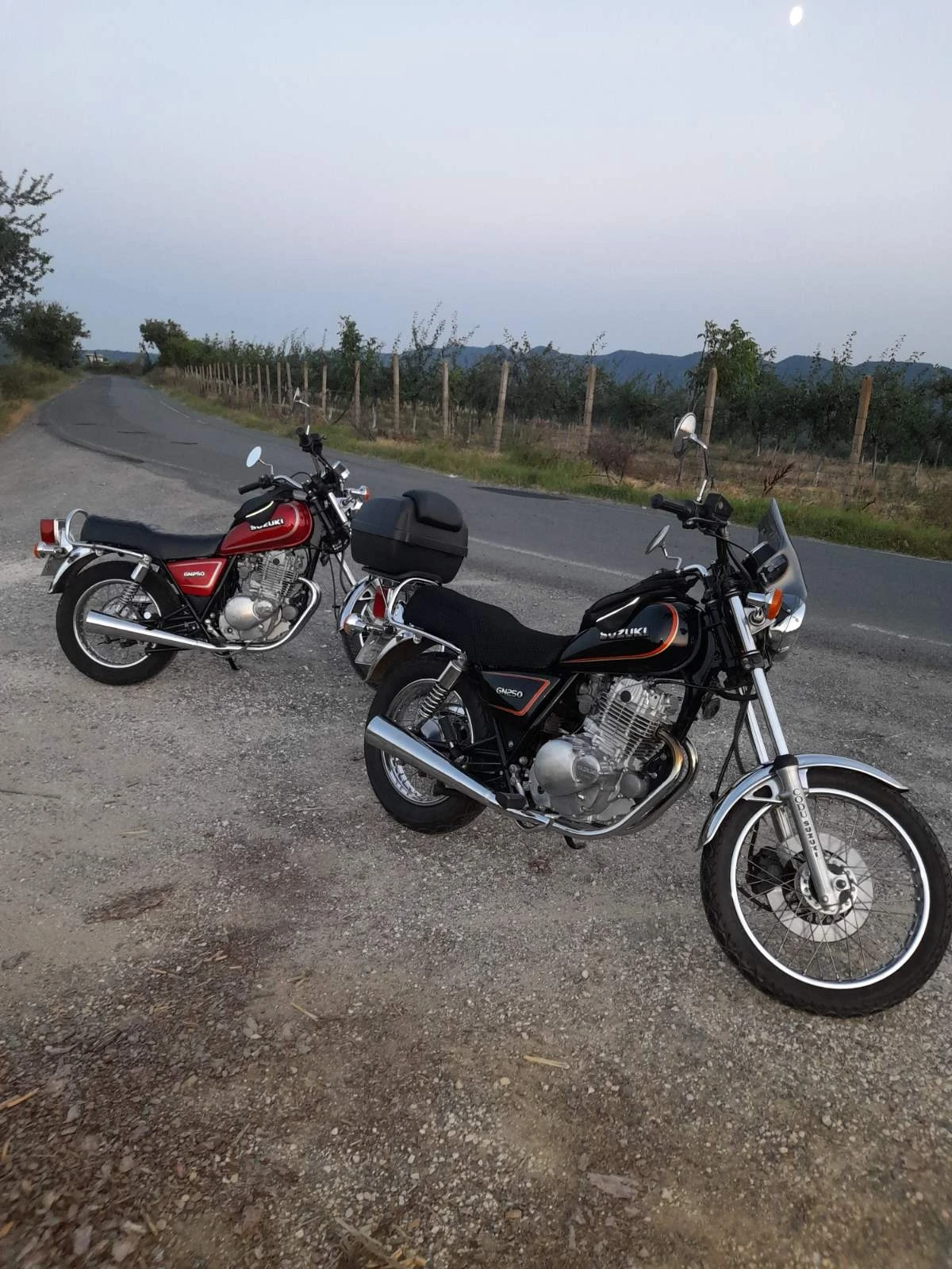 Suzuki GN 250 - изображение 4