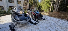 Arctic Cat Youth Arctic Cat Panther, снимка 3