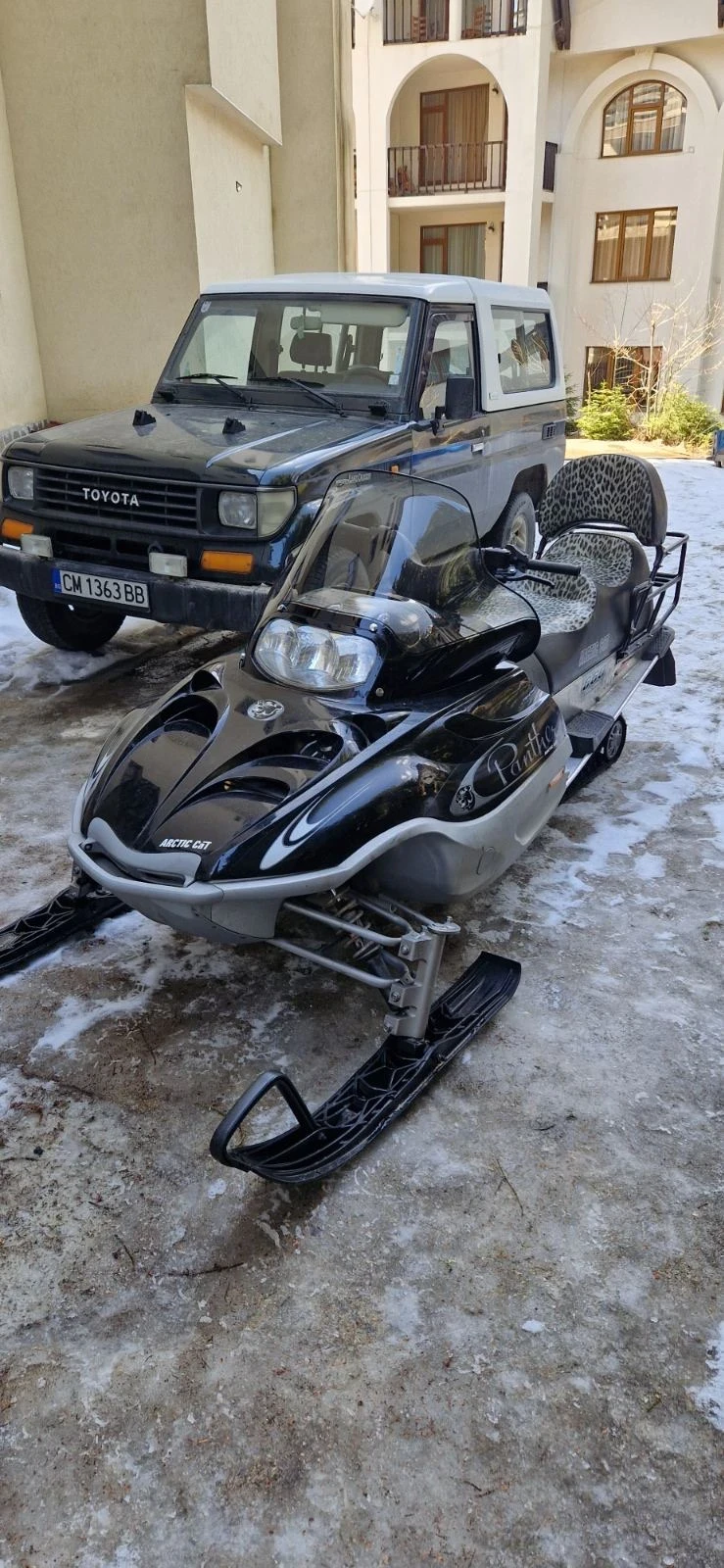 Arctic Cat Youth Arctic Cat Panther