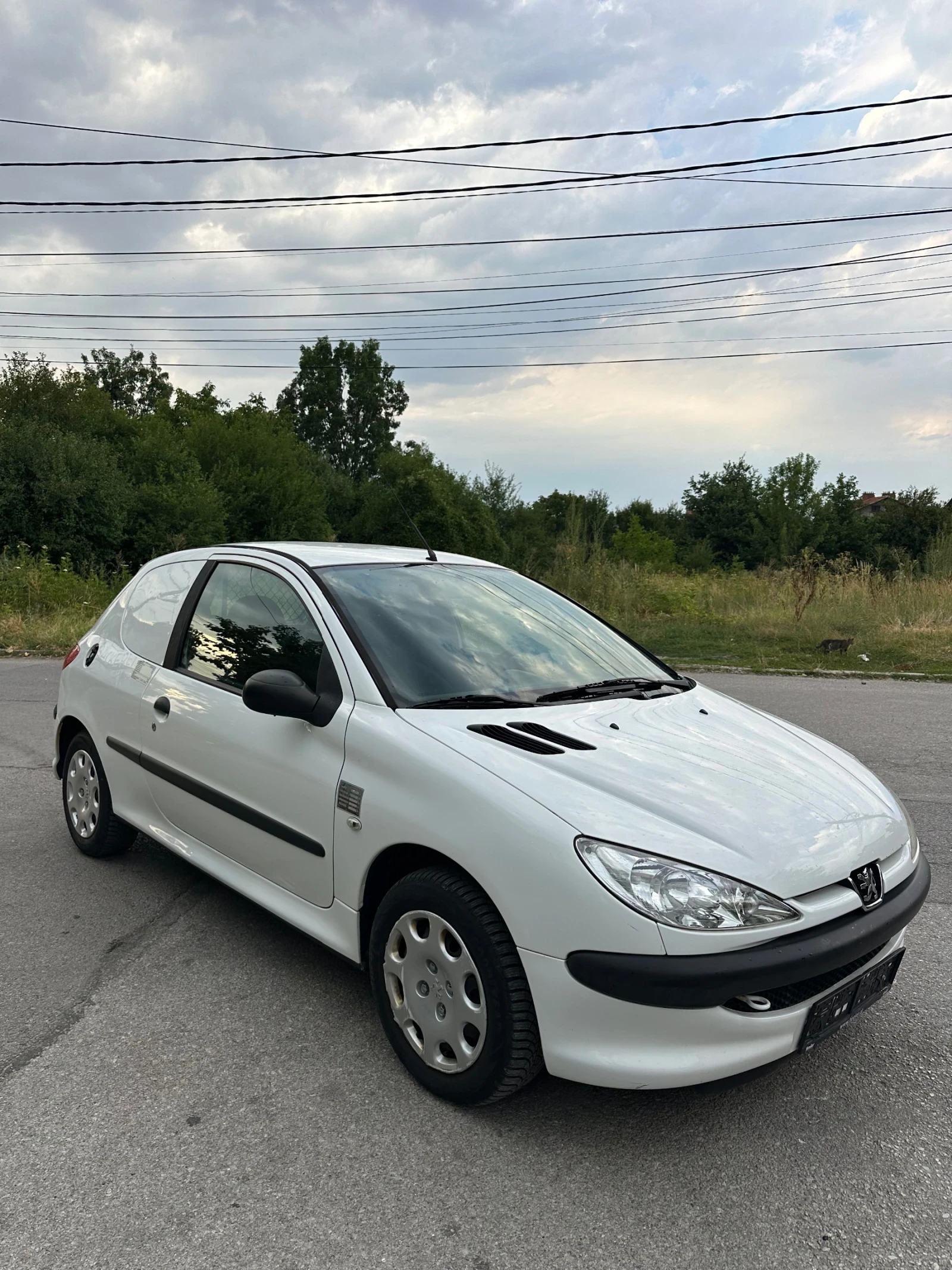 Peugeot 206 1.4HDI Товарно N1 - изображение 3