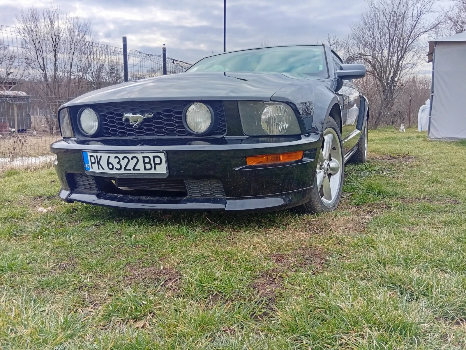 Ford Mustang V8 Special California GT | Mobile.bg � ����������� 1