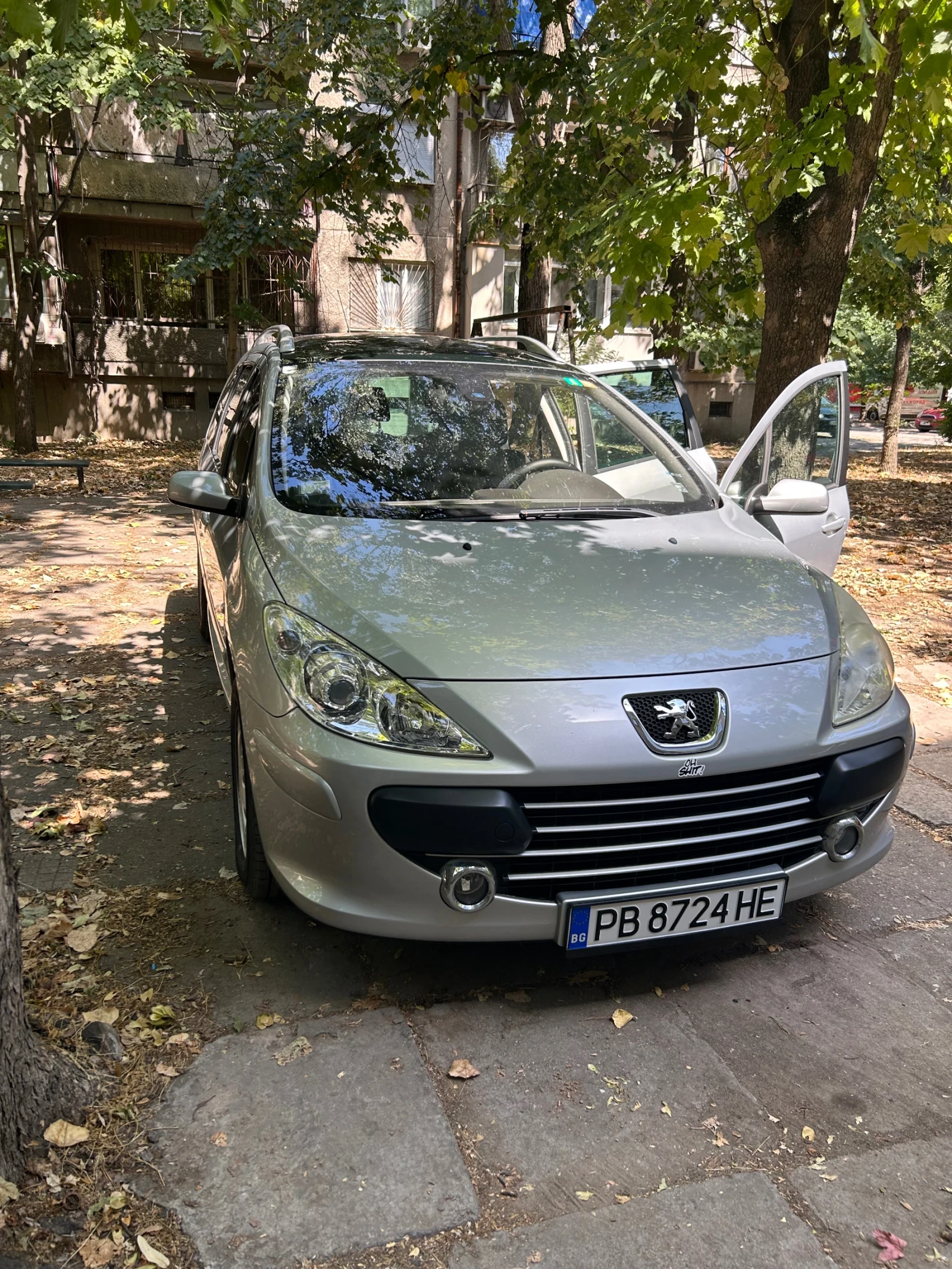 Peugeot 307 SW - изображение 2