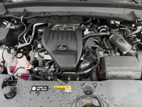 Lexus TX 350 Lexus TX500h hybrid - 41000 € - 49077957 11